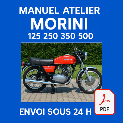 Manuel atelier morini - morini, 250