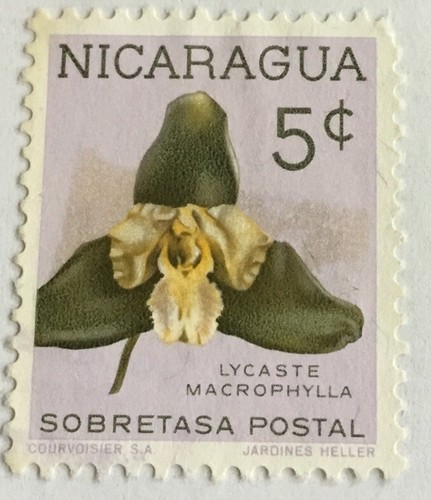 Timbro fiore orchidea