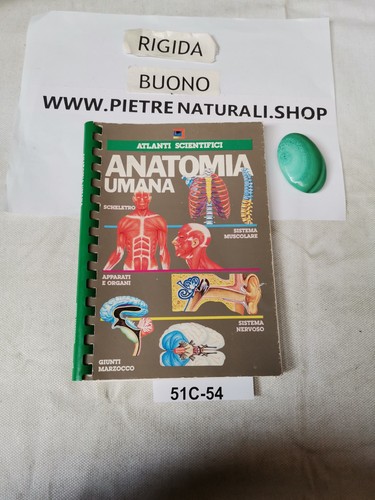 Tavole anatomia umana - tavole,