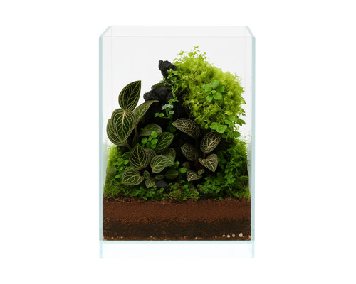 Natureholic nanoair serbatoio - nanoair,