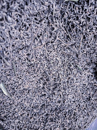 Lavanda 2023 fiori essiccati