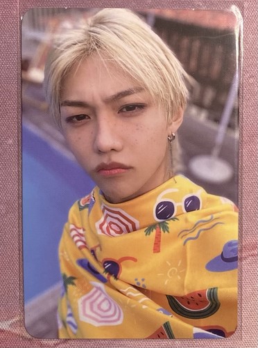 Read description stray kids - stray,