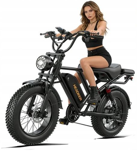 Bicicletta elettrica