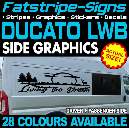 Adatto fiat ducato grafica - a,