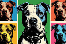 Targa in latta retrò PIT BULL