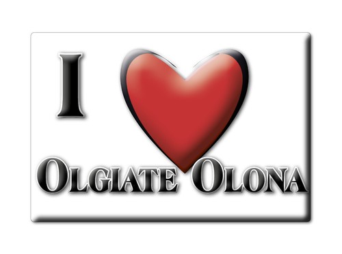 Calamita olgiate olona - calamita, (va)