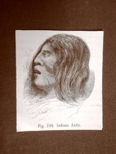 Uomo Indiano Antis nel 1883 Moda e costume