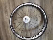 Ruota  Posteriore Fulcrum 3 Bici Da Corsa Corpetto Campagnolo 12/30 