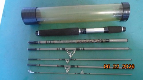 Daiwa regal silver 6052 canna - regal,