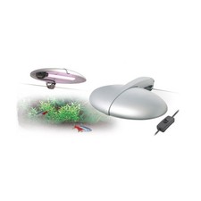 Arcadia Ellipse Marine Hybrid