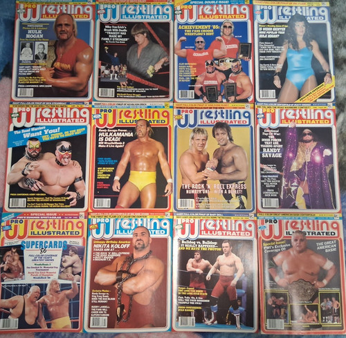 Pro wrestling illustrated - pro,
