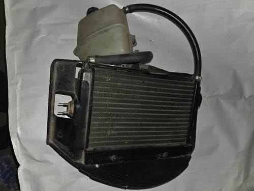Radiatore piaggio exagon - radiatore,