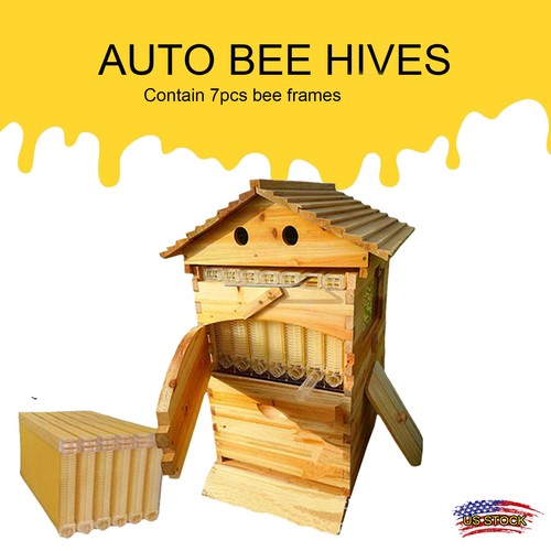 Capannone auto alveare scatole - capannone,