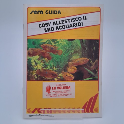 Così allestisco mio - così, il