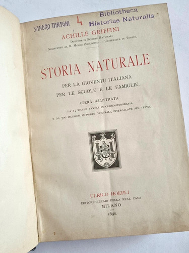Storia naturale achille - storia,