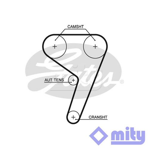 Cinghia distribuzione
