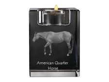 Americani Quarter Horse -