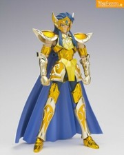 ARMATURA CAVALIERE AQUARIUS