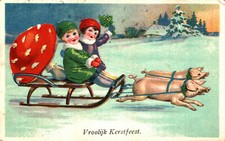 FUNGHI, CHAMPIGNONS, MUSHROOMS - Maialini e Bambini - VG - #087