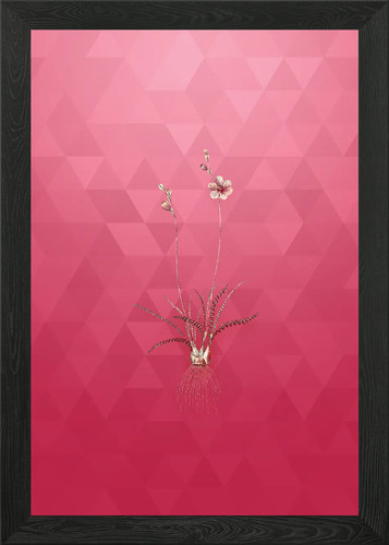 Quadro stampa tela poster - quadro,