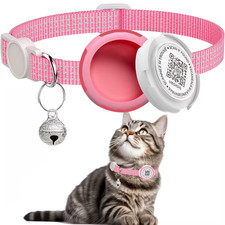 Collare Gatto Con Supporto per