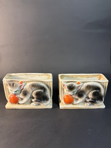 Coppia fioriere per gatti - di,
