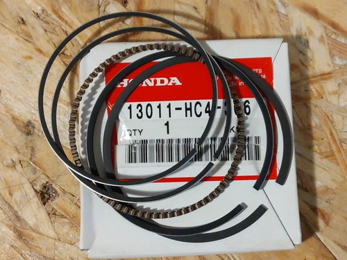 Segment cote standard trx300fw - segment,