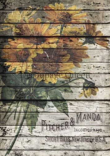 Brocca manda carta - e, |