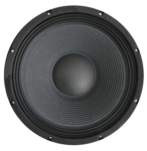 Woofer professionale subwoofer - woofer,