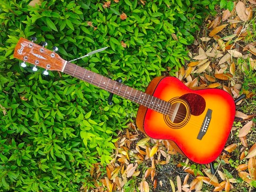 Modello display chitarra