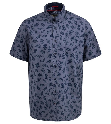 D555 kettering hawaiano foglia - d555,