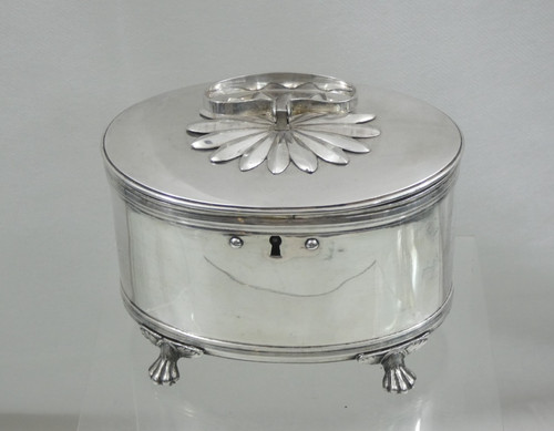 Splendido antico caddy tè - splendido,