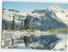 Cartolina Testa di Diamante