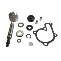 403461000 kit revisione pompa - kit,