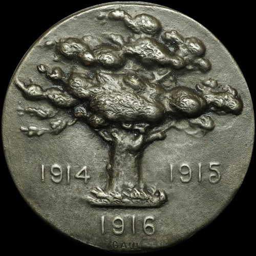 Prima guerra mondiale - guerra,