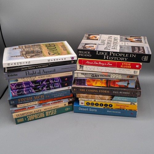 Gay novels erotica - novels,