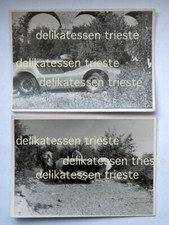 JOHN BUCCI 1966 Porsche Trieste 1 concept car auto 2 RARE PHOTO FOTO