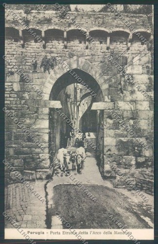 Perugia città carro buoi - carro,