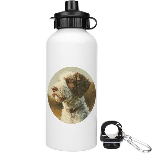 Bottiglie acqua - bottiglie, d'acqua