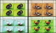 Moldavia 2018 pollame pollo tacchino oche anatra uccellini natura Bl 4 MNH