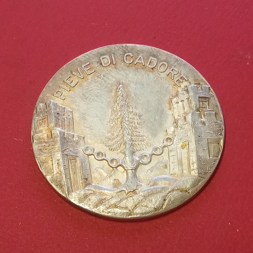 Medaglia argento pieve - argento, di