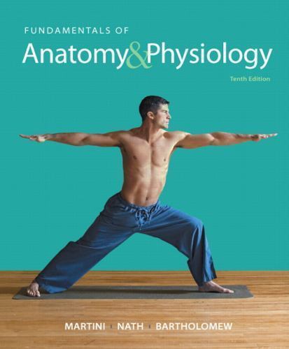 Fundamentals anatomy - of,