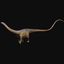 REBOR Male Diplodocus Dinosaur Statue PVC Model Display Stargazer Plain Ver.