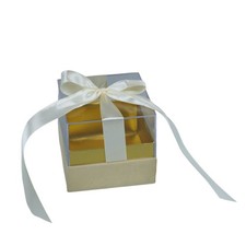 4X Scatolina plexiglass