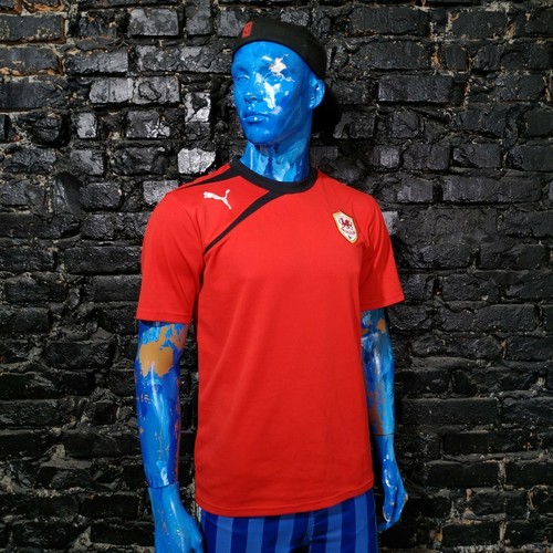 Cardiff city training jersey - cardiff,