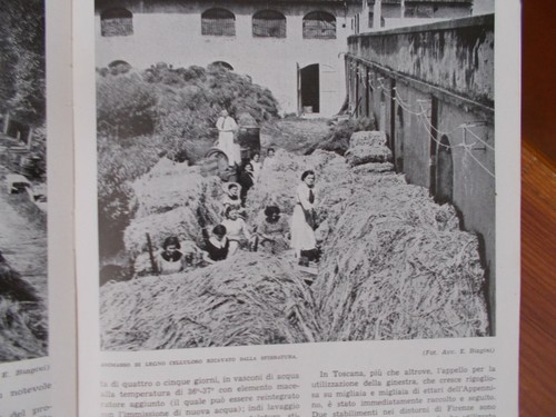 Industria della ginestra - della,