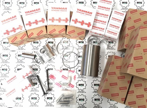 4tne84 kit revisione motore - 4tne84,