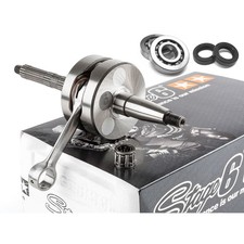 MF3683 Albero Motore Stage6