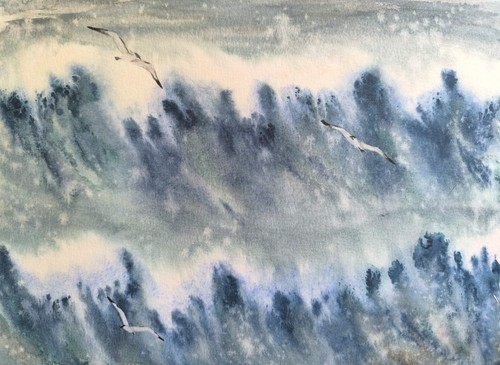 Bird seagalls sea waves - sea,