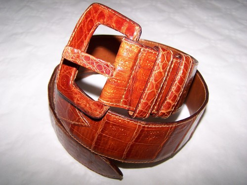 Cintura riccio coccodrillo - cintura,
